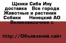 Щенки Сиба Ину доставка - Все города Животные и растения » Собаки   . Ненецкий АО,Великовисочное с.